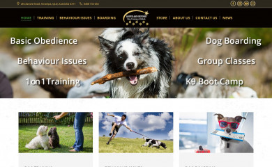 abovebeyonddogtraining.com.au screenshot