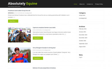 absolutelyequine.com.au screenshot
