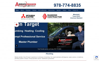 absoluteprecisionplumbing.com screenshot