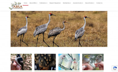 absa.asn.au screenshot