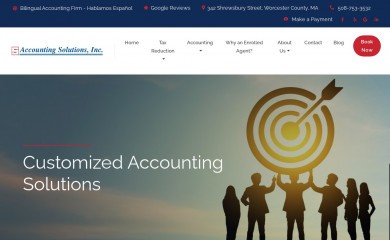 accounting-solutions.com screenshot