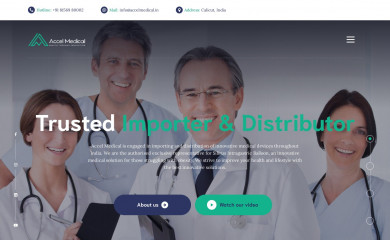 accelmedical.in screenshot