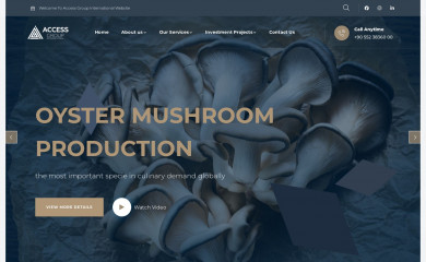 accessgroup-intl.com screenshot