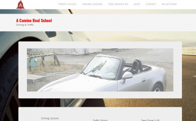 acaminorealschool.com screenshot