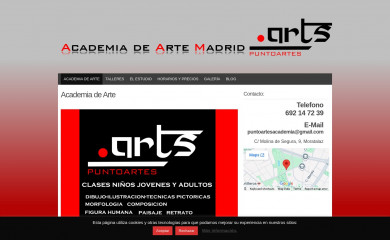 academiadeartemadrid.com screenshot