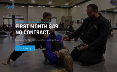 acekarate.com screenshot
