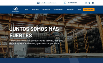 acerosturia.com.mx screenshot