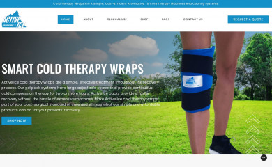 activeice.com screenshot