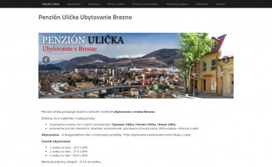 activitysport.sk screenshot