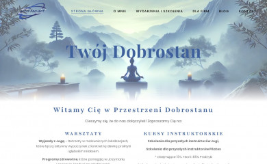 activproject.pl screenshot