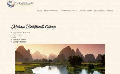 acupuncteur-geneve.com screenshot