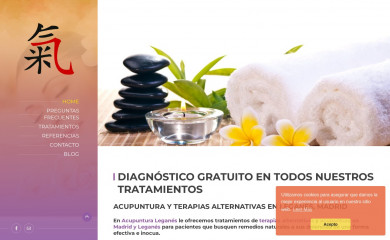 acupunturaleganes.com screenshot