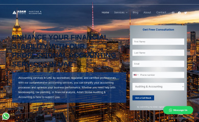 adamconsulting.ae screenshot