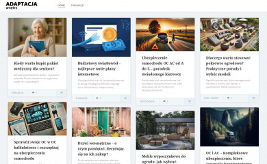 adaptacjawnetrz.pl screenshot