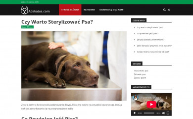 adekatos.com screenshot
