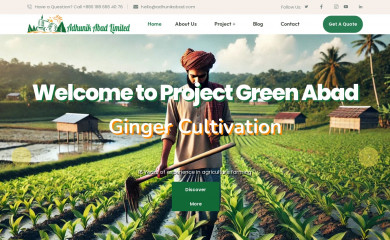 adhunikabad.com screenshot