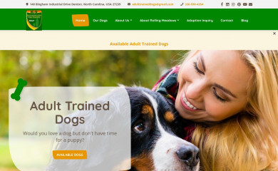 adulttraineddogsforsale.com screenshot