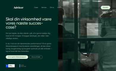 http://www.advicer.dk screenshot