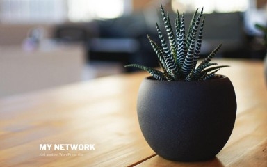 http://adzopa.com screenshot