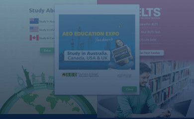 aeo.com.pk screenshot