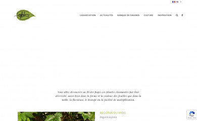 afabego.fr screenshot