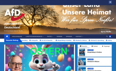 afd-spn.de screenshot