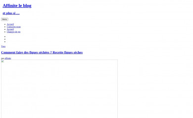 affinite.fr screenshot