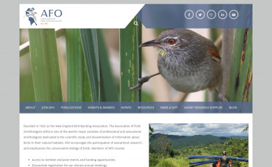 afonet.org screenshot