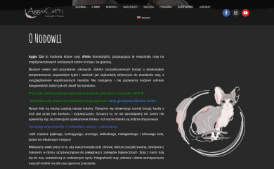 aggiocat.pl screenshot