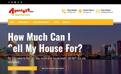 agent619.com screenshot