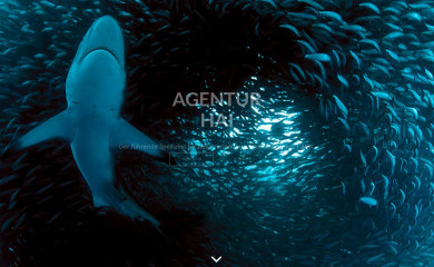 agentur-hai.at screenshot