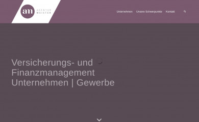 agentur-meister.de screenshot
