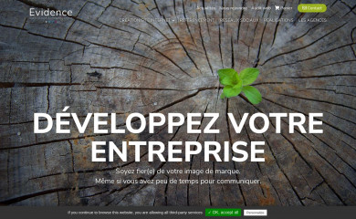 https://www.agence-web-evidence.fr screenshot