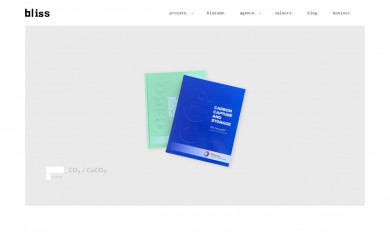 agencebliss.com screenshot
