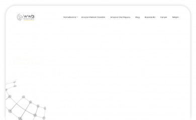 agencywwb.com screenshot