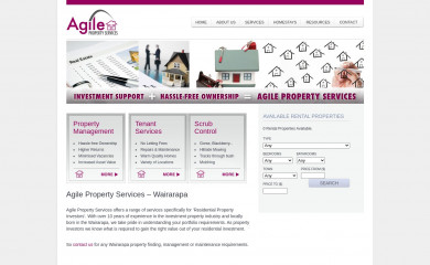 agileps.co.nz screenshot