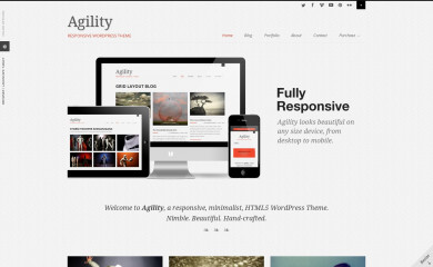 http://agility.sevenspark.com screenshot