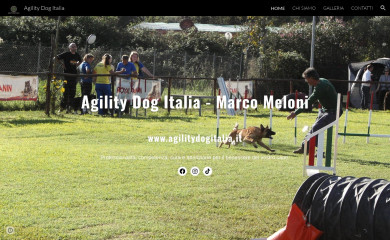 agilitydogitalia.it screenshot