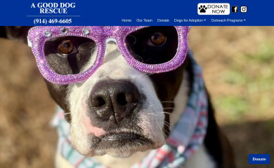agooddogrescue.org screenshot