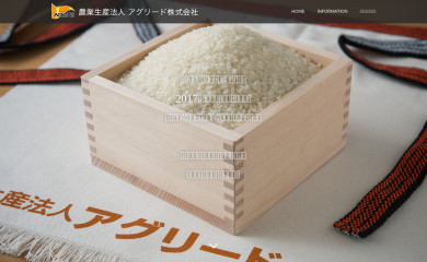 aglead2013.com screenshot