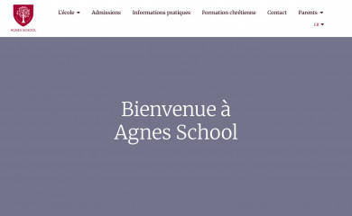 agnesschool.eu screenshot