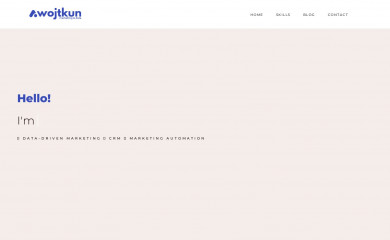 agnieszkawojtkun.com screenshot