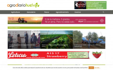 agrodiariohuelva.es screenshot
