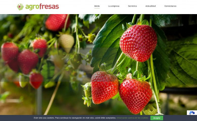 agrofresas.com screenshot
