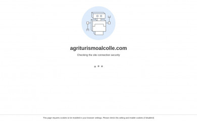 agriturismoalcolle.com screenshot