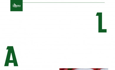 agricolalusiatreviso.it screenshot