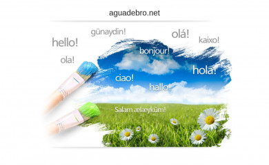 aguadebro.net screenshot