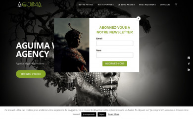 aguimawebagency.com screenshot