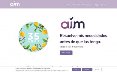 aimseguros.mx screenshot