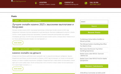 ainecleaning.ca screenshot